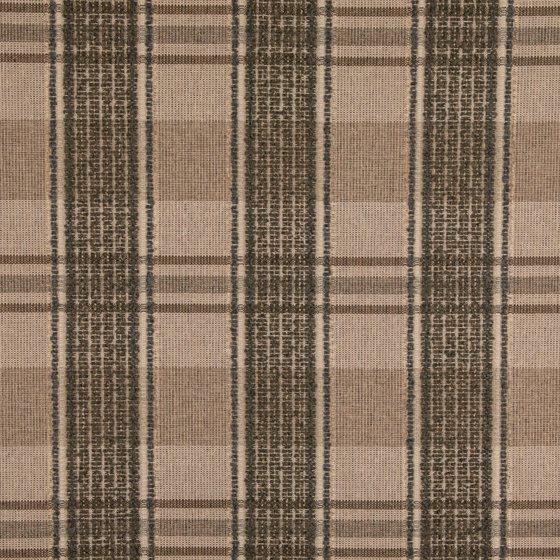 Charlotte - D5060 - Thyme - Fabric by the Yard Thyme