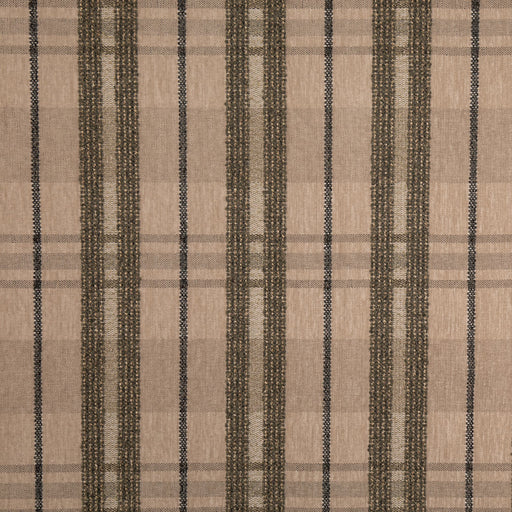 Charlotte - D5062 - Moss - Fabric by the Yard Moss