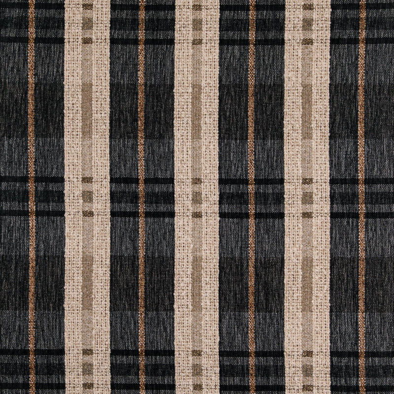 Charlotte - D5071 - Ink - Fabric by the Yard Ink