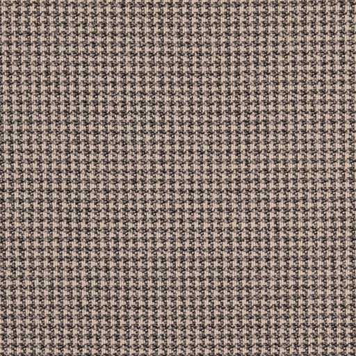 Charlotte - D5073 - Onyx - Fabric by the Yard Onyx