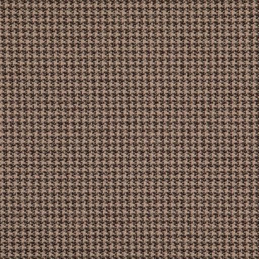 Charlotte - D5074 - Coffee - Fabric by the Yard Coffee