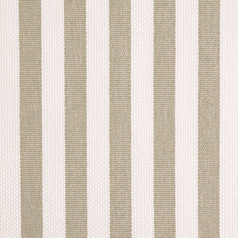 Charlotte - D5090 - Herbal - Fabric by the Yard Herbal