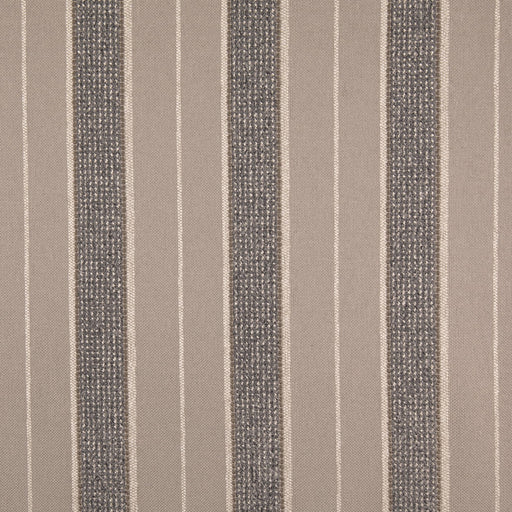 Charlotte - D5097 - Pumice - Fabric by the Yard Pumice