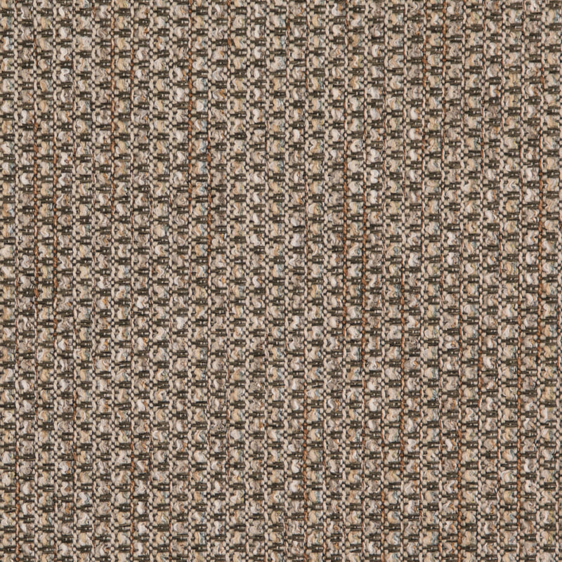 Charlotte - D5127 - Basil - Fabric by the Yard Basil