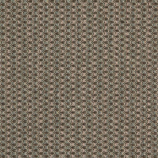 Charlotte - D5129 - Oasis - Fabric by the Yard Oasis