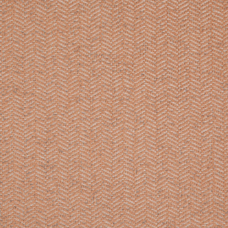 Charlotte - D5131 - Petal - Fabric by the Yard Petal