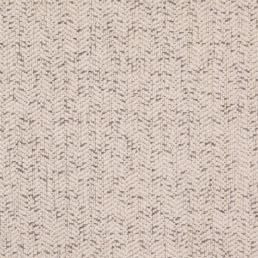 Charlotte - D5134 - Pumice - Fabric by the Yard Pumice