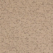 Charlotte - D5139 - Abalone - Fabric by the Yard Abalone