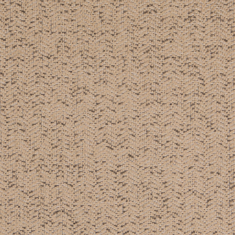 Charlotte - D5139 - Abalone - Fabric by the Yard Abalone