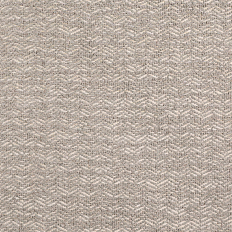 Charlotte - D5141 - Sterling - Fabric by the Yard Sterling
