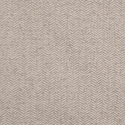 Charlotte - D5141 - Sterling - Fabric by the Yard Sterling