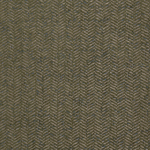 Charlotte - D5143 - Herbal - Fabric by the Yard Herbal