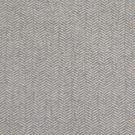 Charlotte - D5145 - Powder Blue - Fabric by the Yard Powder Blue