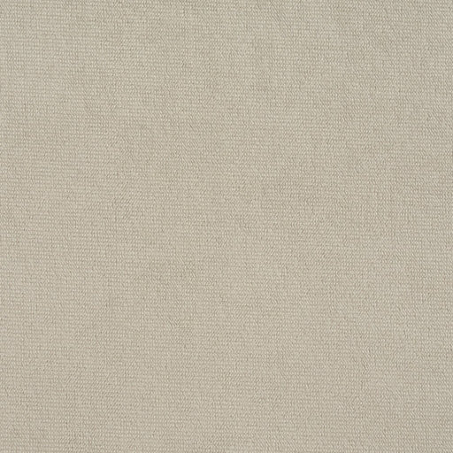 Charlotte - D584 - Stone - Fabric by the Yard Stone