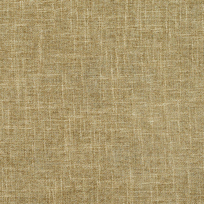 Charlotte - D697 - Sage - Fabric by the Yard Sage