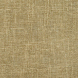 Charlotte - D697 - Sage - Fabric by the Yard