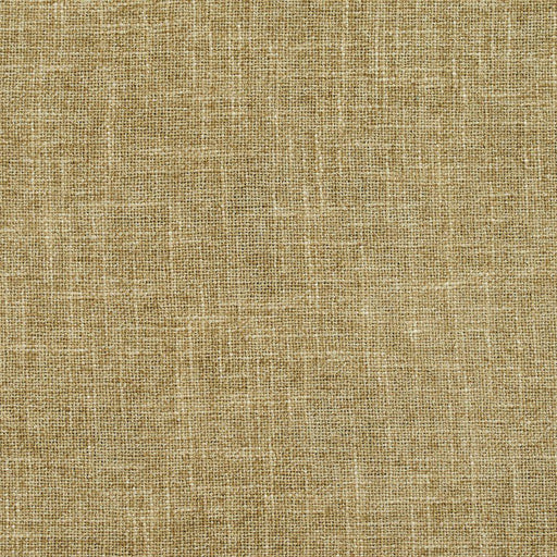 Charlotte - D697 - Sage - Fabric by the Yard Sage