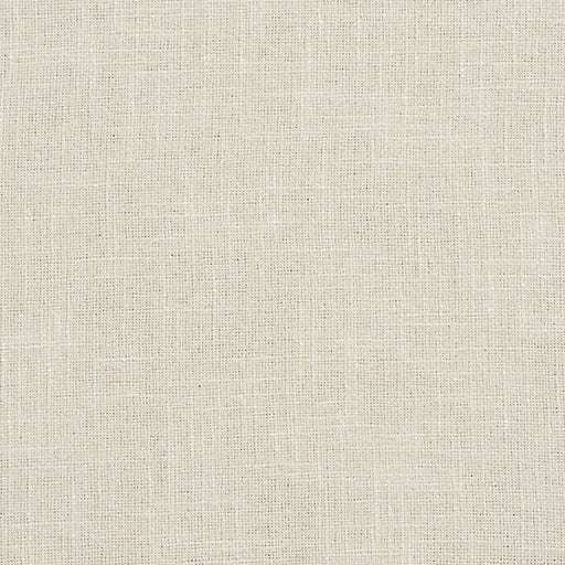 Charlotte - D702 - Cream - Fabric by the Yard Cream