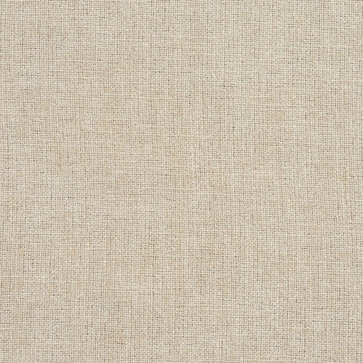 Charlotte - D709 - Eggshell - Fabric by the Yard Eggshell
