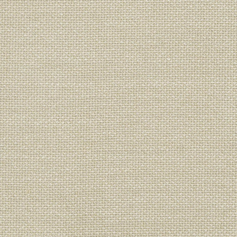 Charlotte - D825 - Pumice - Fabric by the Yard Pumice