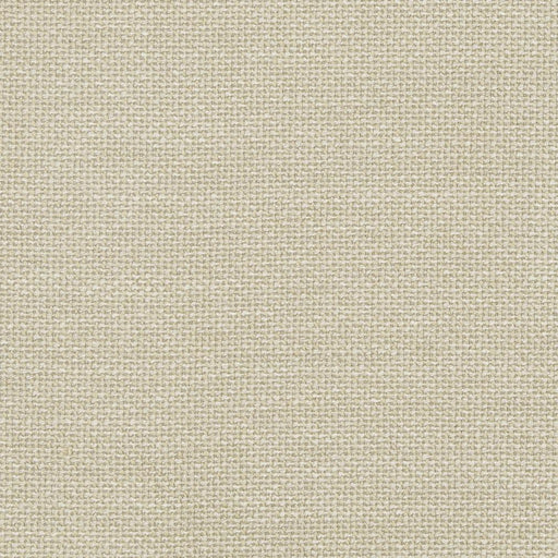 Charlotte - D825 - Pumice - Fabric by the Yard Pumice