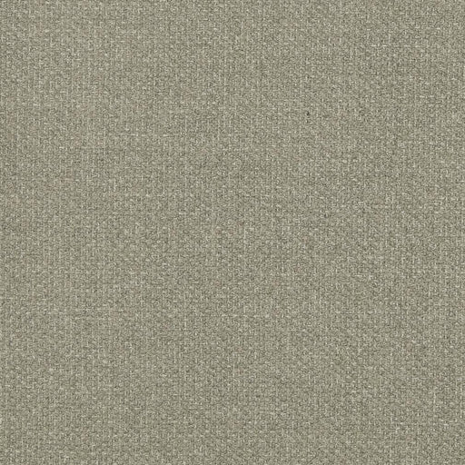 Charlotte - D827 - Flannel - Fabric by the Yard Flannel