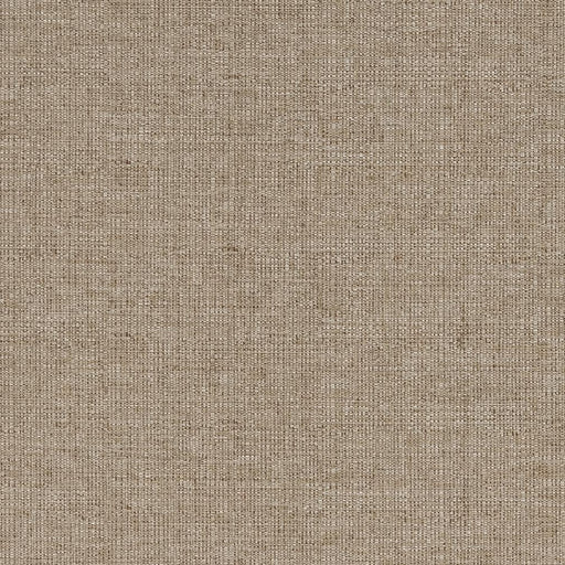 Charlotte - D833 - Taupe - Fabric by the Yard Taupe