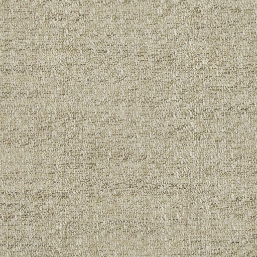 Charlotte - D846 - Desert - Fabric by the Yard Desert