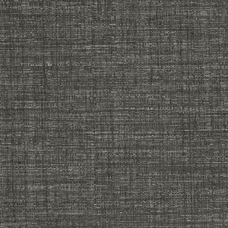 Charlotte - D853 - Hale - Fabric by the Yard Hale