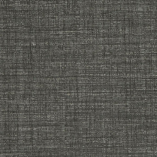 Charlotte - D853 - Hale - Fabric by the Yard Hale