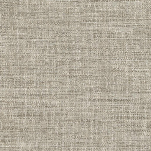 Charlotte - D854 - Heather - Fabric by the Yard Heather