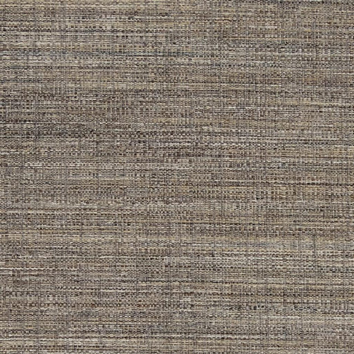 Charlotte - D856 - Mushroom - Fabric by the Yard Mushroom