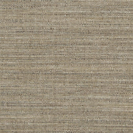 Charlotte - D860 - Dune - Fabric by the Yard Dune