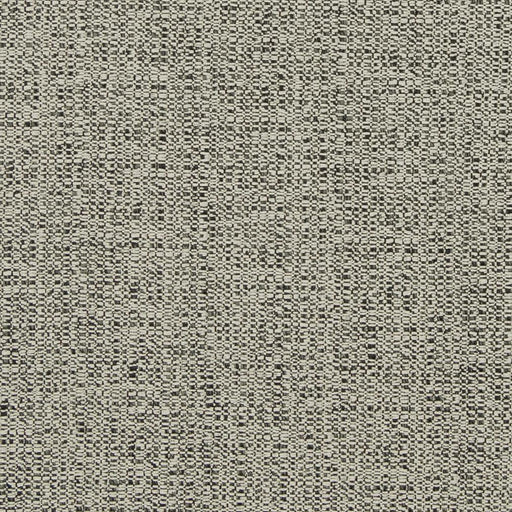 Charlotte - D867 - Ash - Fabric by the Yard Ash