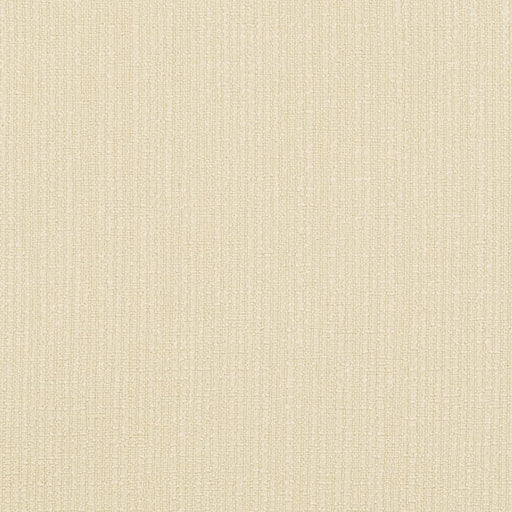 Charlotte - D868 - Cream - Fabric by the Yard Cream