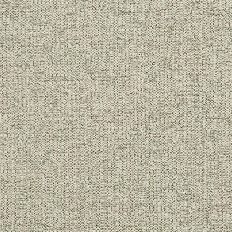 Charlotte - D869 - Sage - Fabric by the Yard Sage