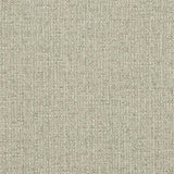 Charlotte - D869 - Sage - Fabric by the Yard
