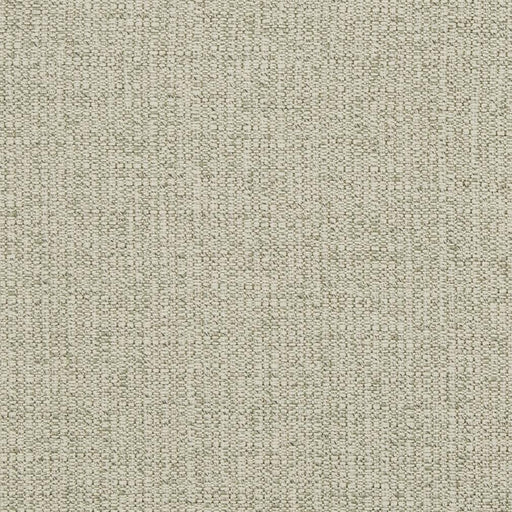 Charlotte - D869 - Sage - Fabric by the Yard Sage