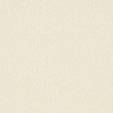 Charlotte - D895 - Pebble/Buff - Fabric by the Yard