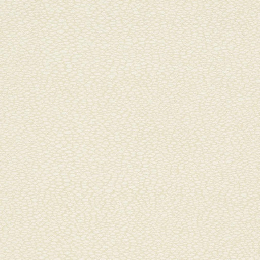 Charlotte - D895 - Pebble/Buff - Fabric by the Yard Pebble/Buff