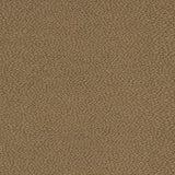 Charlotte - D896 - Pebble/Mocha - Fabric by the Yard