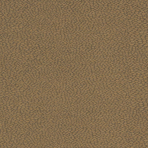 Charlotte - D896 - Pebble/Mocha - Fabric by the Yard Pebble/Mocha