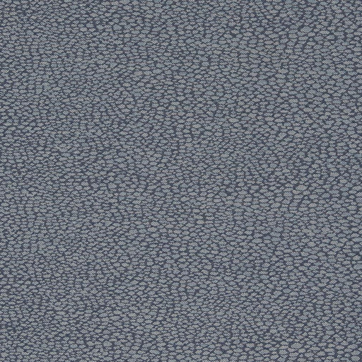 Charlotte - D897 - Pebble/Navy - Fabric by the Yard Pebble/Navy
