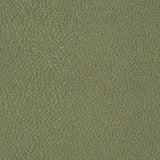 Charlotte - D898 - Pebble/Sage - Fabric by the Yard