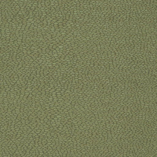 Charlotte - D898 - Pebble/Sage - Fabric by the Yard Pebble/Sage