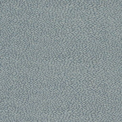 Charlotte - D899 - Pebble/Sapphire - Fabric by the Yard Pebble/Sapphire