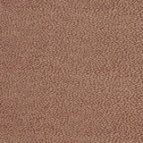 Charlotte - D901 - Pebble/Spice - Fabric by the Yard