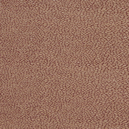 Charlotte - D901 - Pebble/Spice - Fabric by the Yard Pebble/Spice