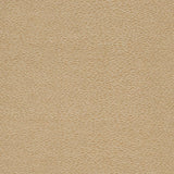 Charlotte - D902 - Pebble/Taupe - Fabric by the Yard