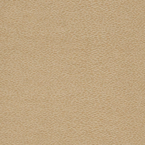Charlotte - D902 - Pebble/Taupe - Fabric by the Yard Pebble/Taupe